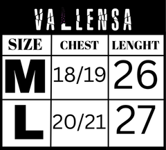 Bomber Stylish RAGZEEN Zipper Jacket 🧥